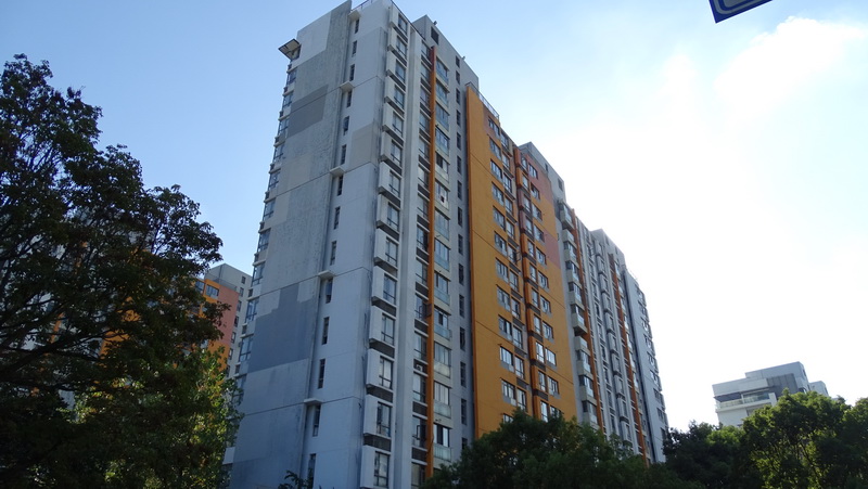 上(shàng)海-浦東新區-秀沿路1028弄2支弄89号1001室住宅房