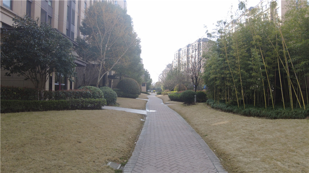 上(shàng)海市青浦區重固鎮福定路288弄129号301室