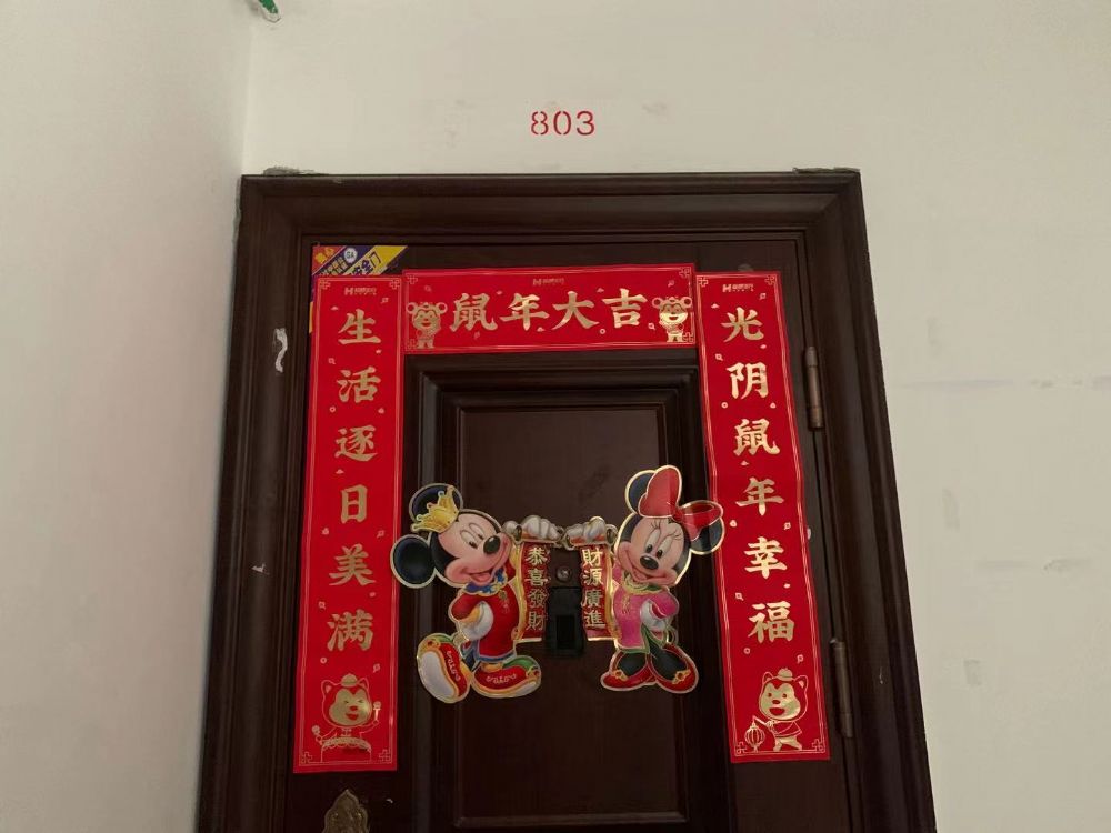 上(shàng)海市青浦區趙巷鎮崧潤路1029弄20号803室
