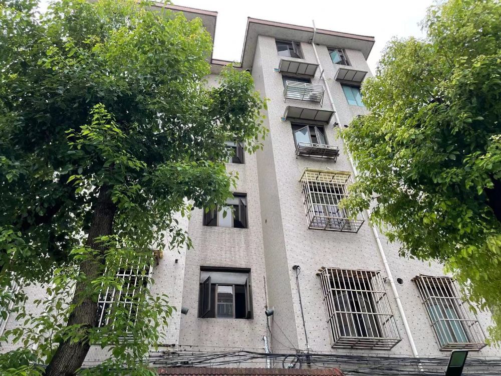 上(shàng)海市闵行區龍柏三村168号101室