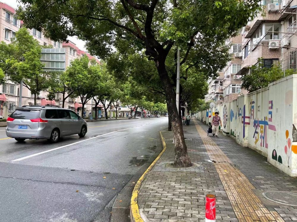 上(shàng)海市闵行區龍柏三村168号101室