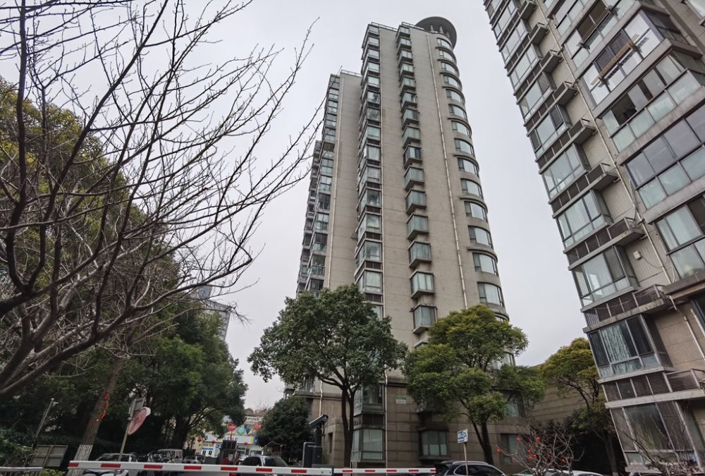上(shàng)海市浦東新區苗圃路60弄1号503室