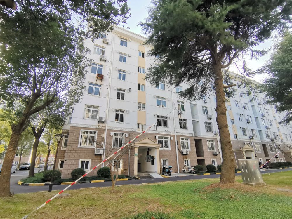 上(shàng)海市金山區蒙山路1291弄64号301室