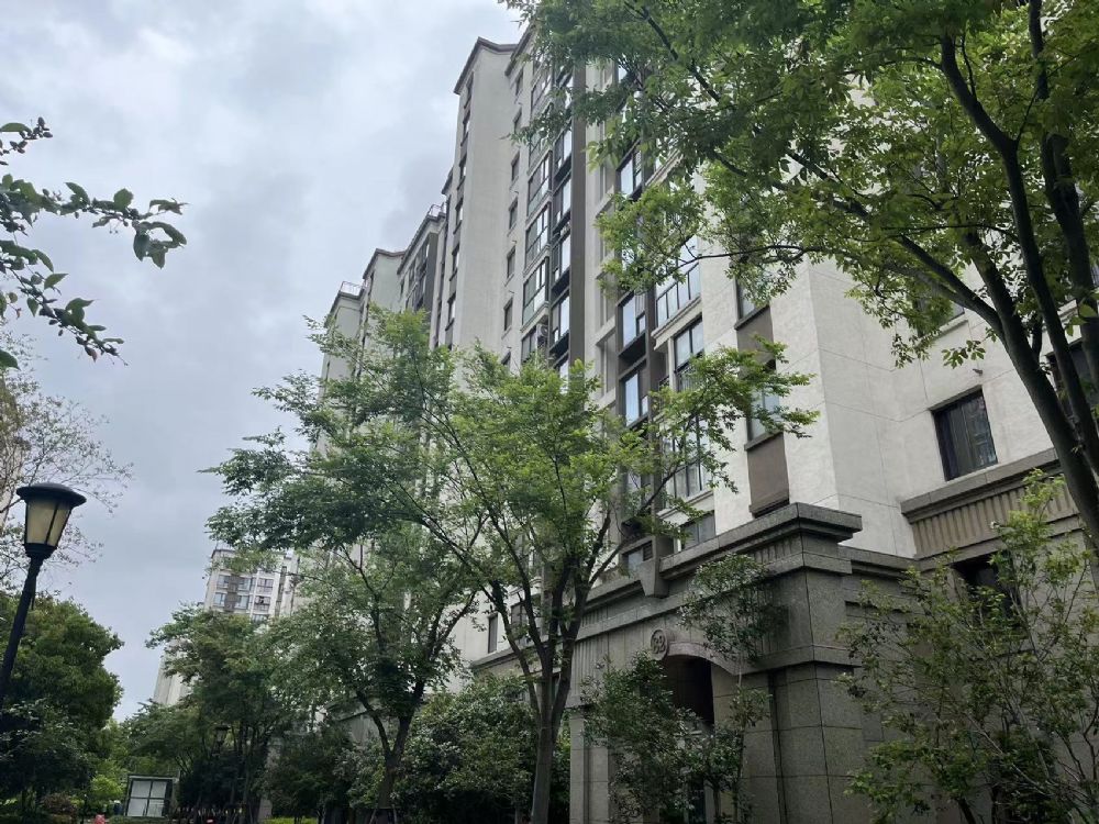 【二拍】浦東新區宣黃公路2585弄80号101室